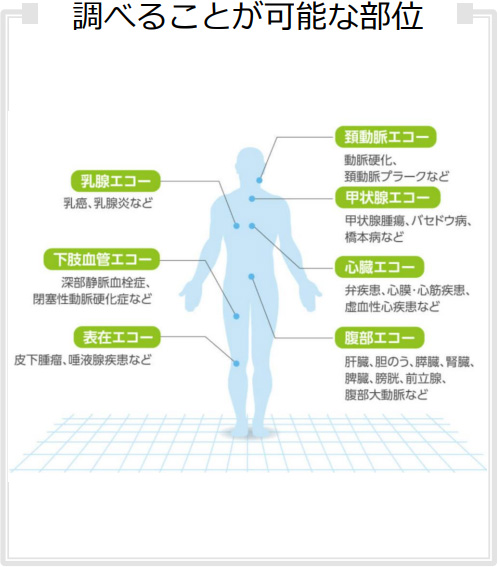 調べることが可能な部位